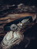 Jormungandr Bracelet, Natural Leather and Bronze