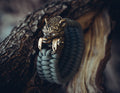 Bear, Master of the Forest Bracelet, Paracord and Bronze