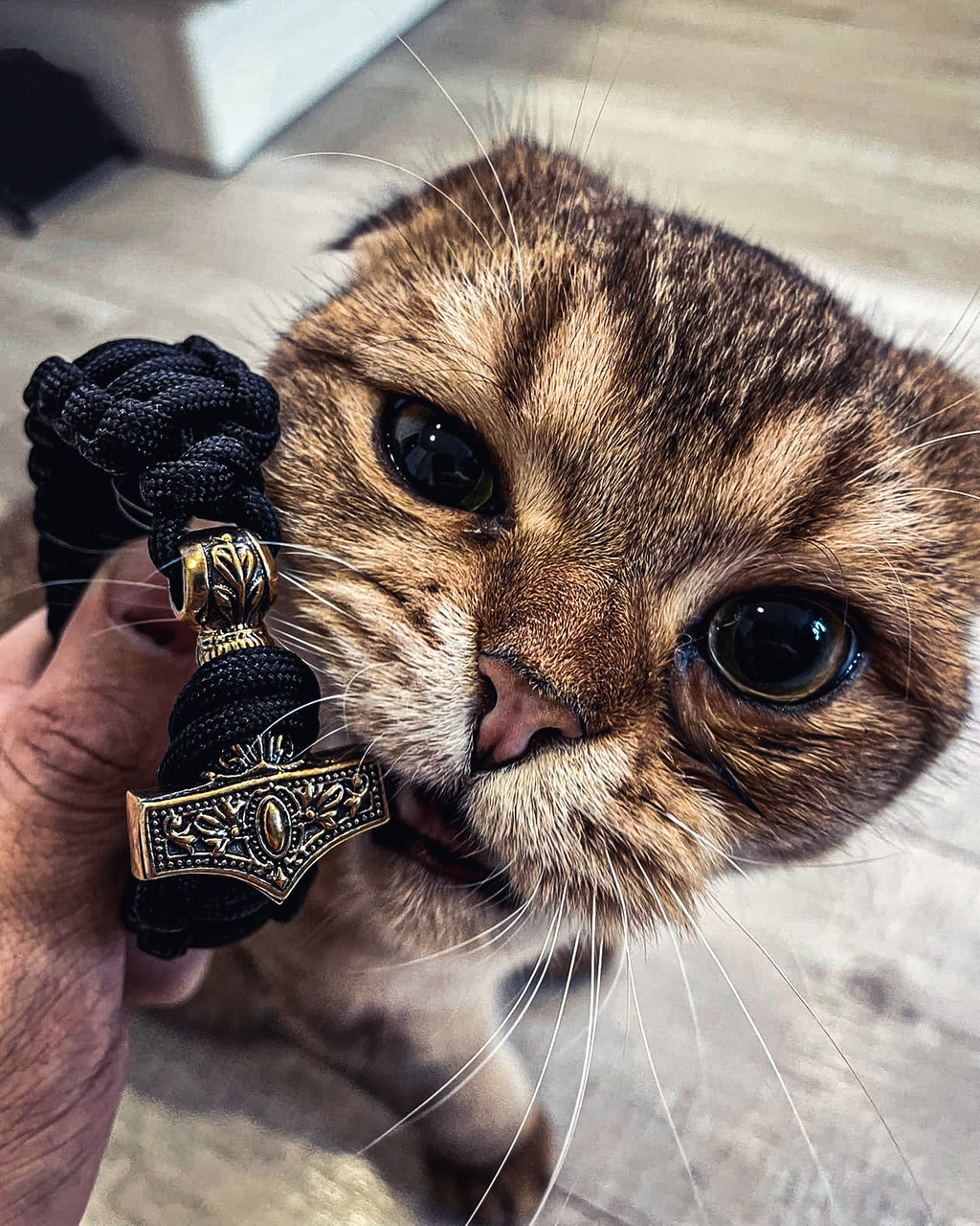 Thor's Hammer Bracelet, Paracord and Bronze